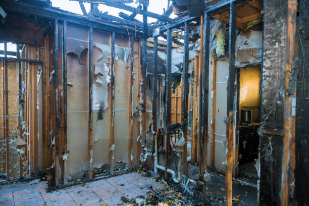 Professional Odor Removal technician working in Cedar Park, TX